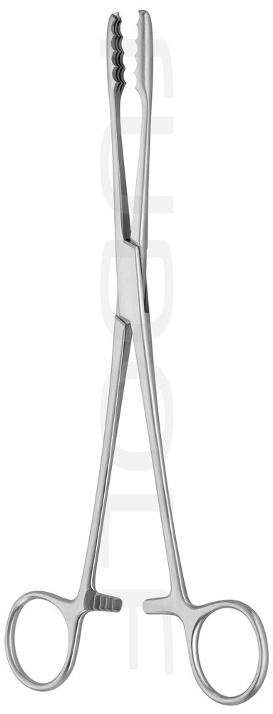 Корнцанг Ulrich, прямий, з кремальєрою, 22 см