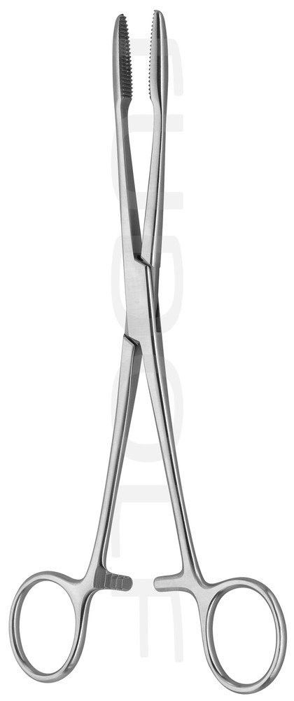 Корнцанг Gross-Maier, прямий, з кремальєрою, 20 см